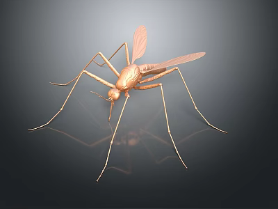 Modern Mosquito Cartoon Mosquito Cartoon Insect Monster Insect 3d model