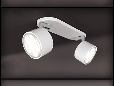 Modern White Double Headed Downlights And Spotlights Ceiling Mounted Lighting Fixture 3d model