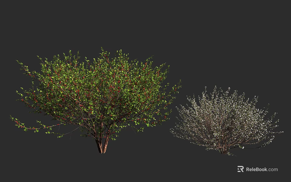 Lush Green Bushes With Red Berries And Silver Foliage Varieties 3d model 