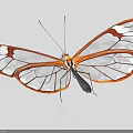 Transparent Winged Butterfly with Orange White Patterns and Geometric Design in Graceful Flight
