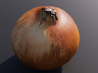 Plump Brown Onion With Natural Textured Skin And Dried Top 3d model
