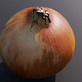 Plump Brown Onion With Natural Textured Skin And Dried Top