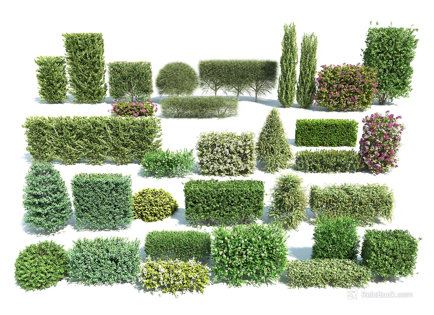Various Shaped Garden Shrubs With Evergreen Foliage And Colorful Varieties For Landscaping 3d model 