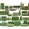 Modern Shrub Square Hedge Combination 3d model