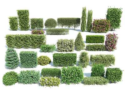 Various Shaped Garden Shrubs With Evergreen Foliage And Colorful Varieties For Landscaping 3d model