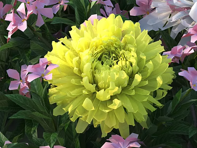 Yellow Peony Bloom With Pink Flowers And Green Leaves In Vase Arrangement 3d model