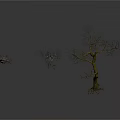 Three Dead Trees with Various Shapes on White Background with Reflections