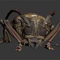 Giant Beetle With Brown Red Body And Long Antennae On Dark Background
