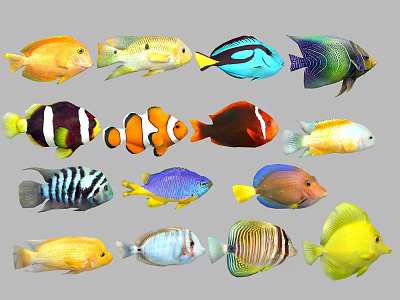 Tropical fish group Modern fish 3d model Tropical fish group Modern fish 3d model