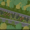 Municipal Road Lined with Lush Green Trees and Vibrant Flower Beds on Both Sides