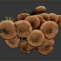 Mushrooms, straw mushrooms, poisonous mushrooms, plant mushrooms, mushrooms, ganoderma lucidum, tree mushrooms, vegetables, fruits and vegetables 3d model