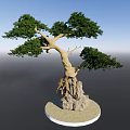 Bonsai Arbor With Exposed Roots And Lush Green Foliage On Stone Base