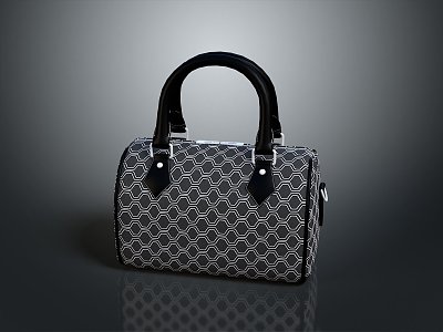 Women's Bag Women's Bag Fashion Women's Bag Famous Brand Bag Famous Brand Women's Bag 3d model