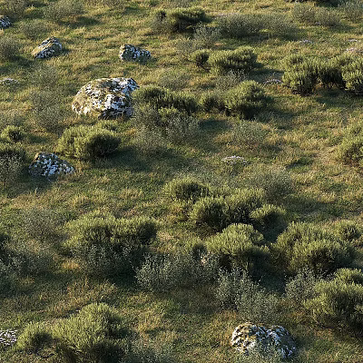 Low Growing Green Bushes In Grassland Field With Moss Covered Stones 3d model