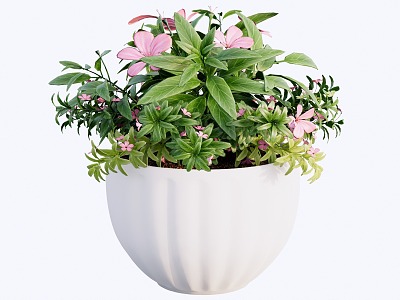 Modern indoor potted plants 3d model