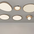 Modern Ceiling Lights with Various Styles Wooden Frames Round and Oval White Lamp Surfaces 3d model