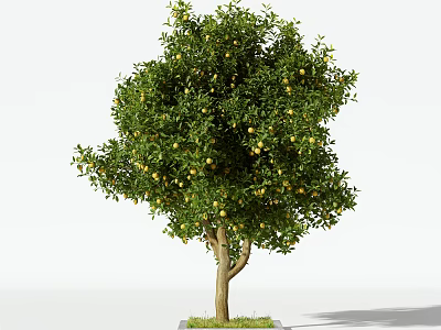 Lush Fruit Bearing Tree with Green Leaves and Yellow Fruits on Base 3d model