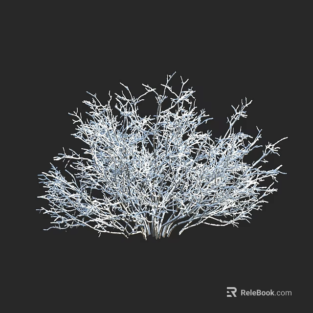 White Shrub with Dense Intricate Branches and Natural Outdoor Garden Look 3d model 