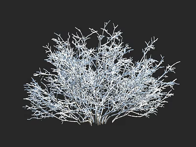 White Shrub with Dense Intricate Branches and Natural Outdoor Garden Look 3d model