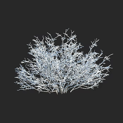 Modern Shrub Winter Snow Tree Snow Plant Snow Shrub 3d model Modern Shrub Winter Snow Tree Snow Plant Snow Shrub 3d model