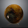 Spherical Plant Structure With Orange Brown Surface And Dark Green Patches On Dark Background