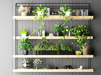 Modern Wall Shelf Partition Shelf Green Plant Ornaments Display Set 3d model