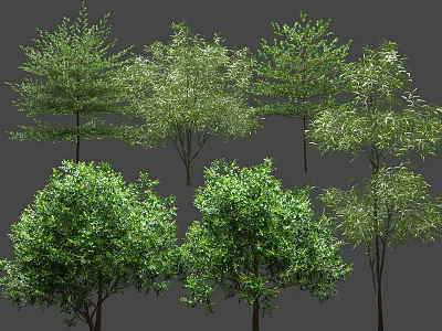 Various Arbor Trees With Lush Green Foliage And Different Growth Shapes 3d model