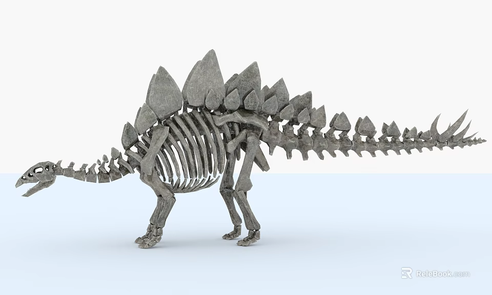 Detailed Prehistoric Reptile Skeleton Featuring Back Plates and Long Tail Structure 3d model 
