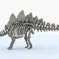 Modern dinosaur stegosaurus fossil 3d model