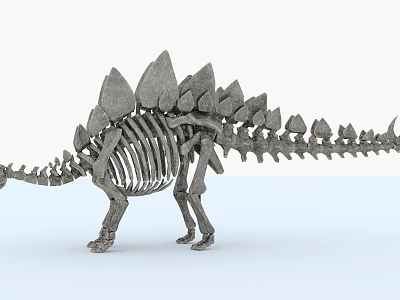 Detailed Prehistoric Reptile Skeleton Featuring Back Plates and Long Tail Structure 3d model