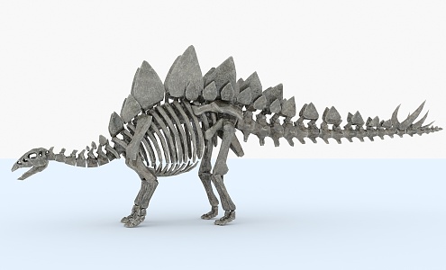 Modern dinosaur stegosaurus fossil 3d model