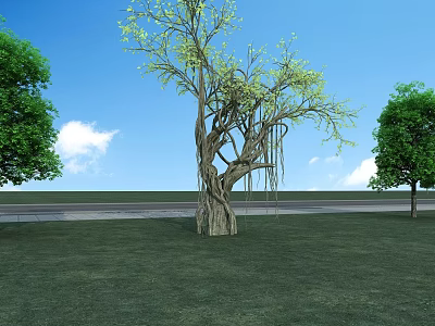 Tall Arbor With Vine Covered Trunk In Green Lawn Under Blue Sky And White Clouds 3d model