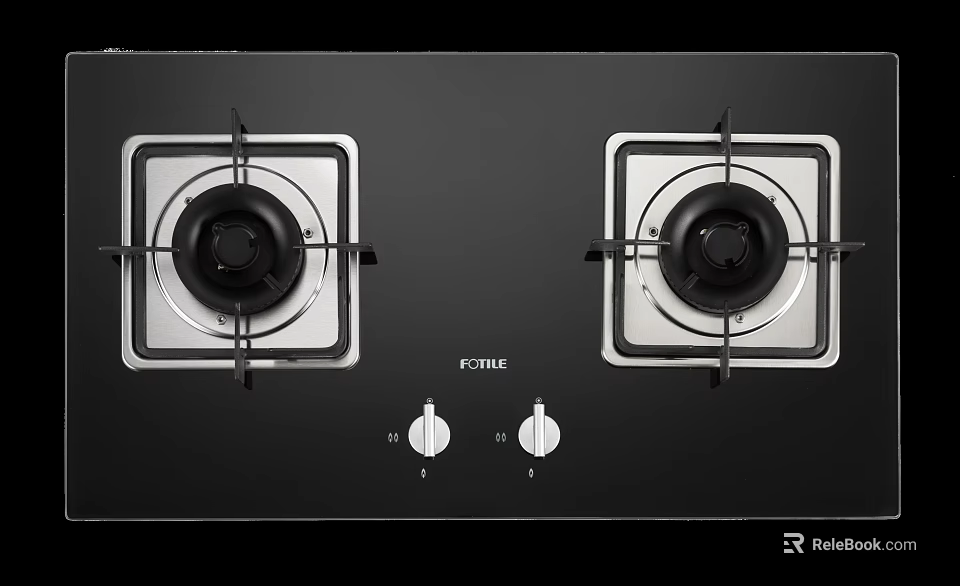 FOTILE Double Burner Gas Stove With Black Surface And Control Knobs For Modern Kitchen 3d model 