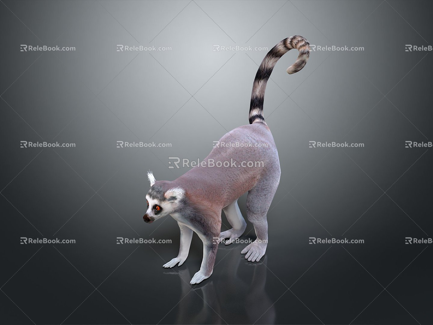 Lemur Lemur Lemur Lemur Lemur Monkey Monkey Cartoon Monkey Anime Monkey Style Monkey 3d model