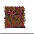 Colorful Living Plant Wall With Varied Foliage And Decorative Leaf Shapes