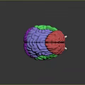 Detailed 3D Human Brain Anatomical Model With Colored Lobes And Neural Structures