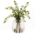 Fresh Green Eucalyptus Leaves In Transparent Glass Vase For Home Decor