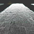 Square Paving Design With Neatly Arranged Stone Slabs And Mossy Gaps