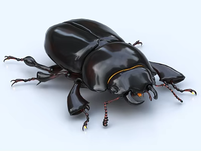 Game Movie Character Black Beetle With Shiny Exoskeleton Yellow Trim Large Pincers And Detailed Legs 3d model
