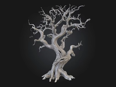 Dry Leafless Tree With Twisted Branches And Thick Trunk On Black Background 3d model