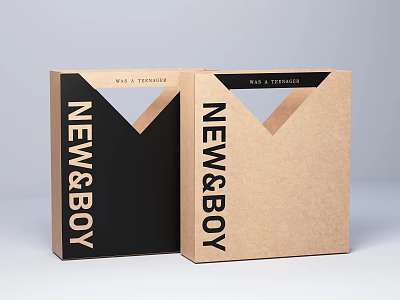 New Boy Carry Boxes Black And Brown With Triangular Handle Design Paper Material 3d model