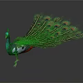 Stunning Peacock Displaying Vibrant Green Blue Feathers With Fanned Tail Eye Spots