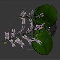 Orchid Plant with Purple Flowers and Green Leaves in Gray Pot on Dark Background