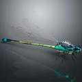 Metallic Green And Blue Dragonfly With Transparent Wings On Gray Background
