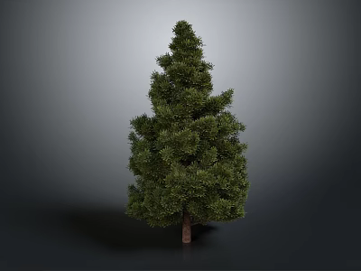 Lush Pine Tree With Dense Green Foliage And Brown Trunk Against Gray Background 3d model
