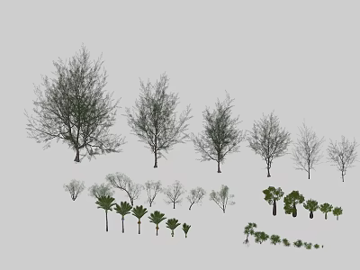 Diverse Collection of Tree and Plant Models in Various Sizes and Species Types 3d model