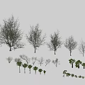 Diverse Collection of Tree and Plant Models in Various Sizes and Species Types
