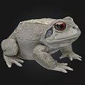 Realistic Gray Toad With Red Eyes And Bumpy Skin In 3D Rendering