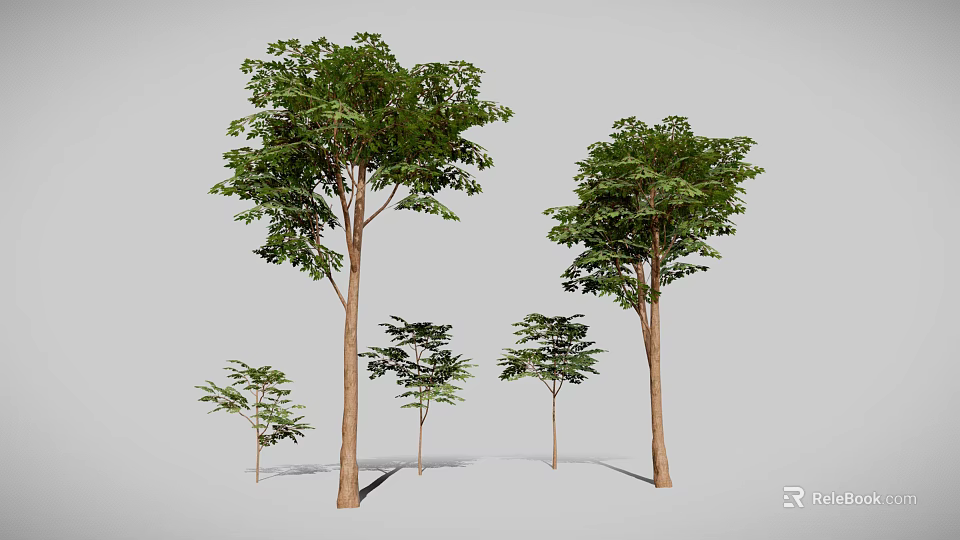 Different Sizes of Trees with Lush Green Leaves and Brown Trunks Displaying Various Growth Stages 3d model 