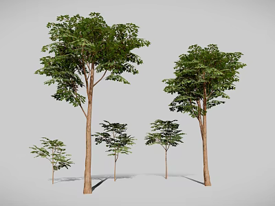 Different Sizes of Trees with Lush Green Leaves and Brown Trunks Displaying Various Growth Stages 3d model